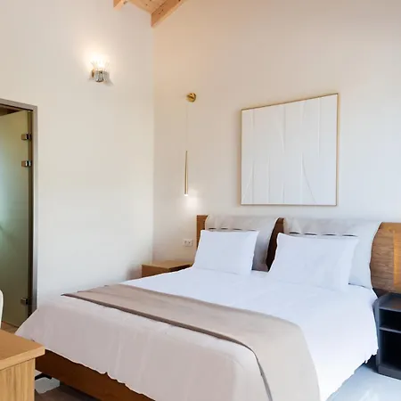 Vasillis-heated Swimming Pool With Infinity View * فيتالاذيس